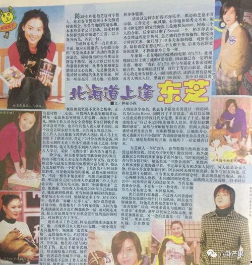 娱乐圈吃瓜的心理学