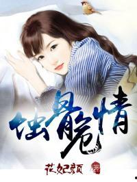 专注吃瓜娱乐圈小说